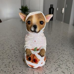 Halloween shiny mummy CHIHUAHUA with pumpkin that lights up